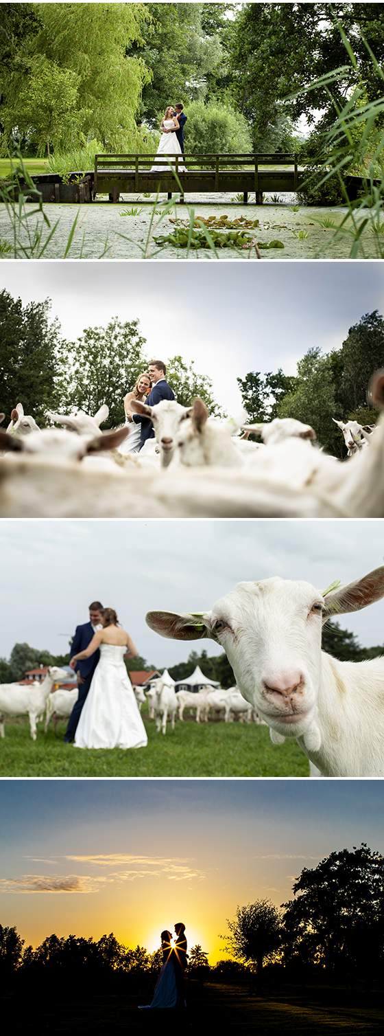 trouwen, trouwfotograaf, soesterduinen, kamerik, geitenboerderij